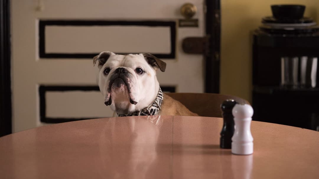 Paterson backdrop 16