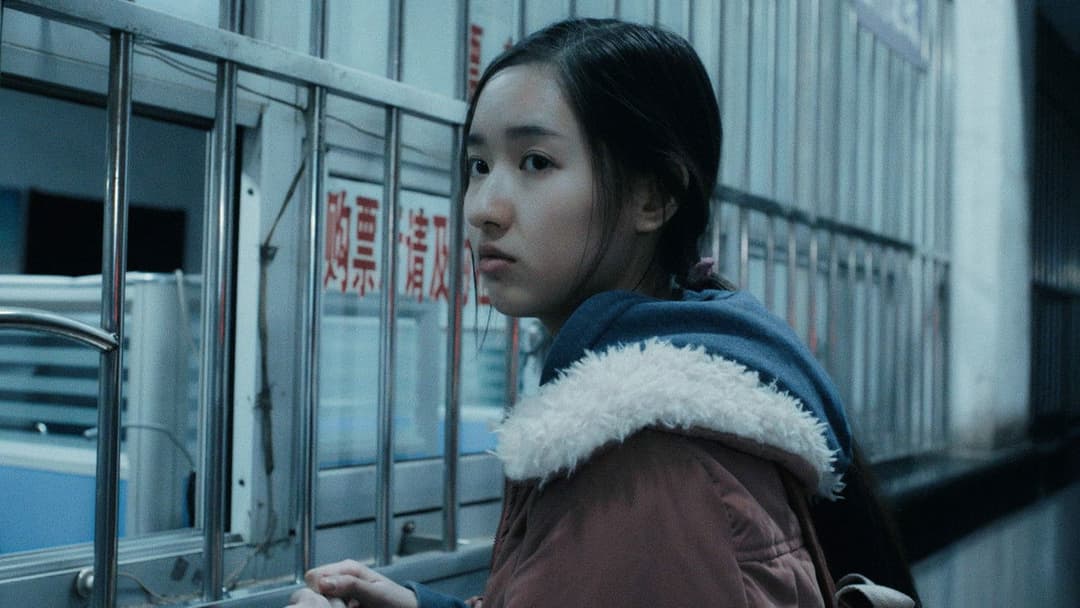 An Elephant Sitting Still backdrop 18