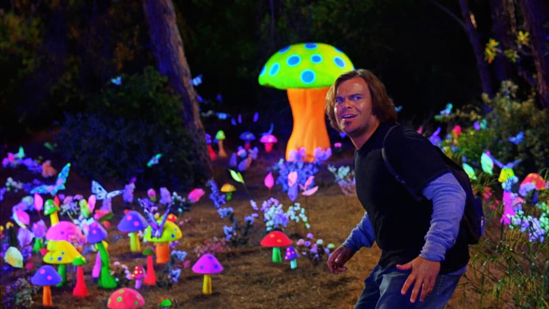 Вибір долі backdrop 8