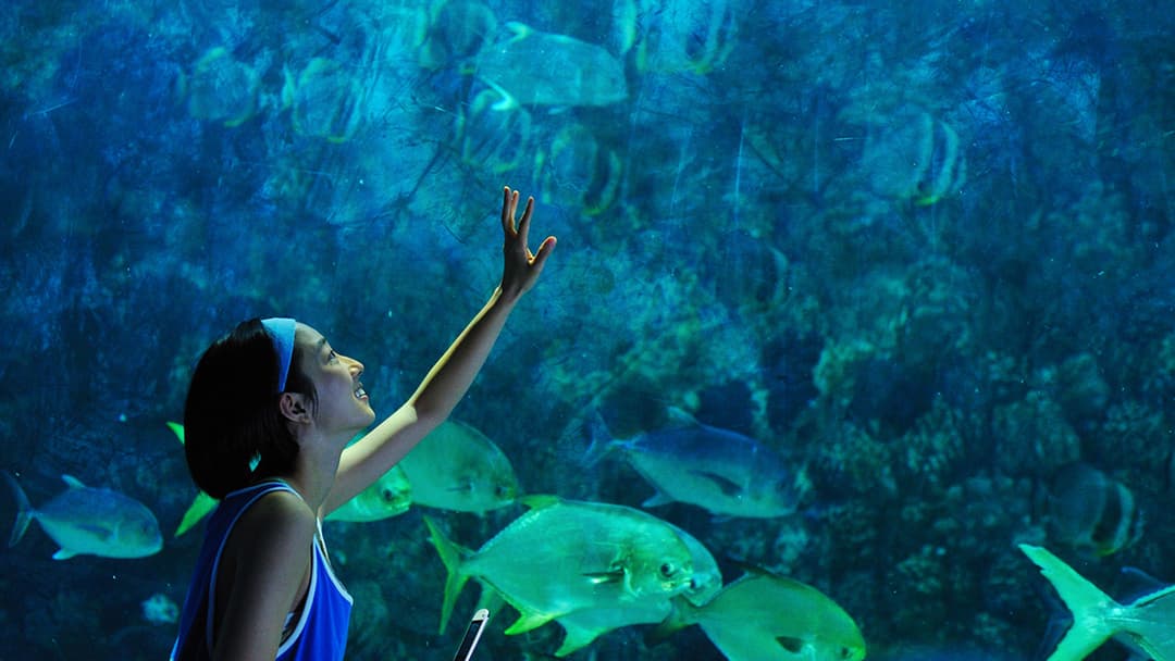 Ocean Heaven backdrop 1