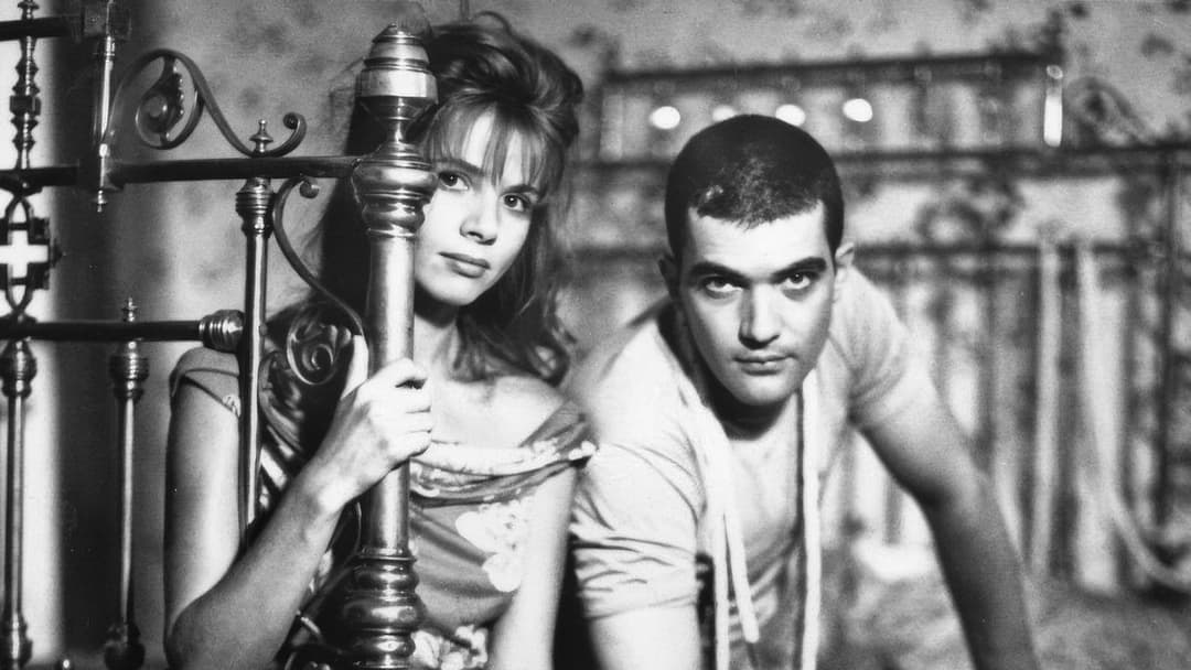 Fessle mich! backdrop 13