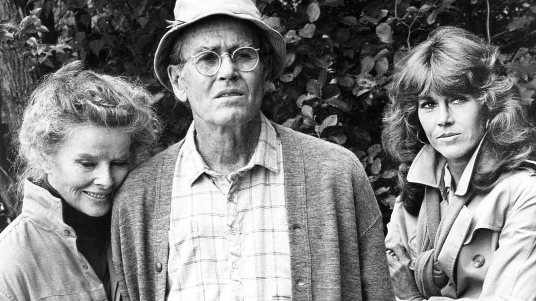 Jane Fonda in Five Acts backdrop 4