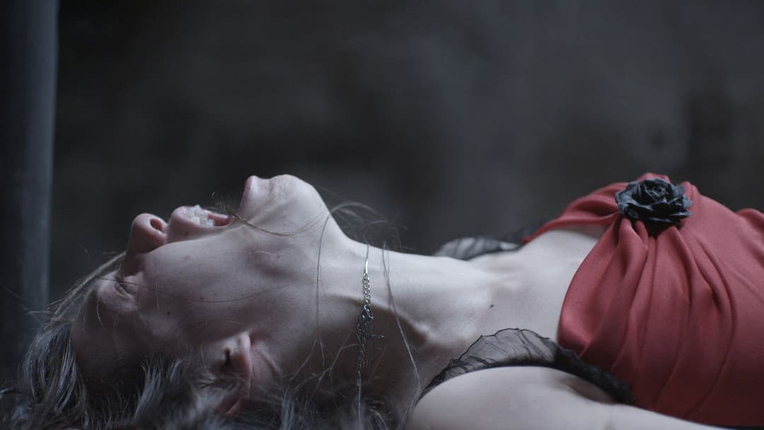 I Spit on Your Grave 2 backdrop 12