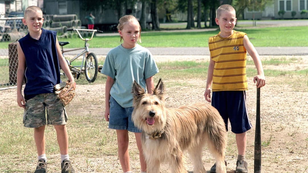 Winn-Dixie - Mein zotteliger Freund backdrop 8