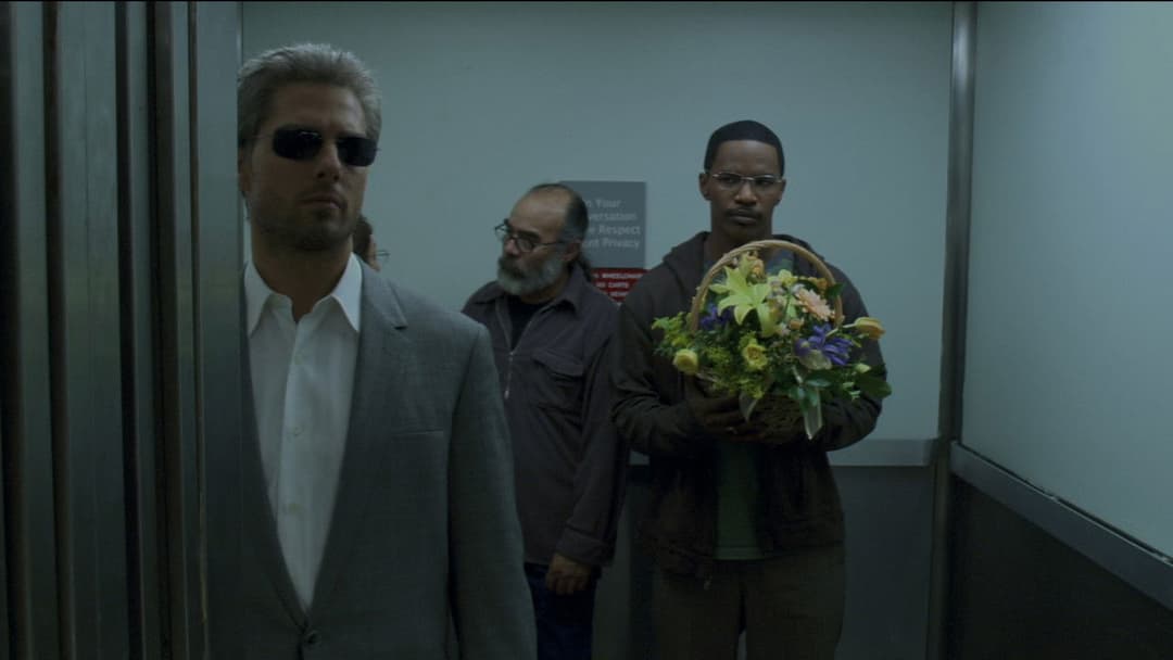 Співучасник backdrop 20