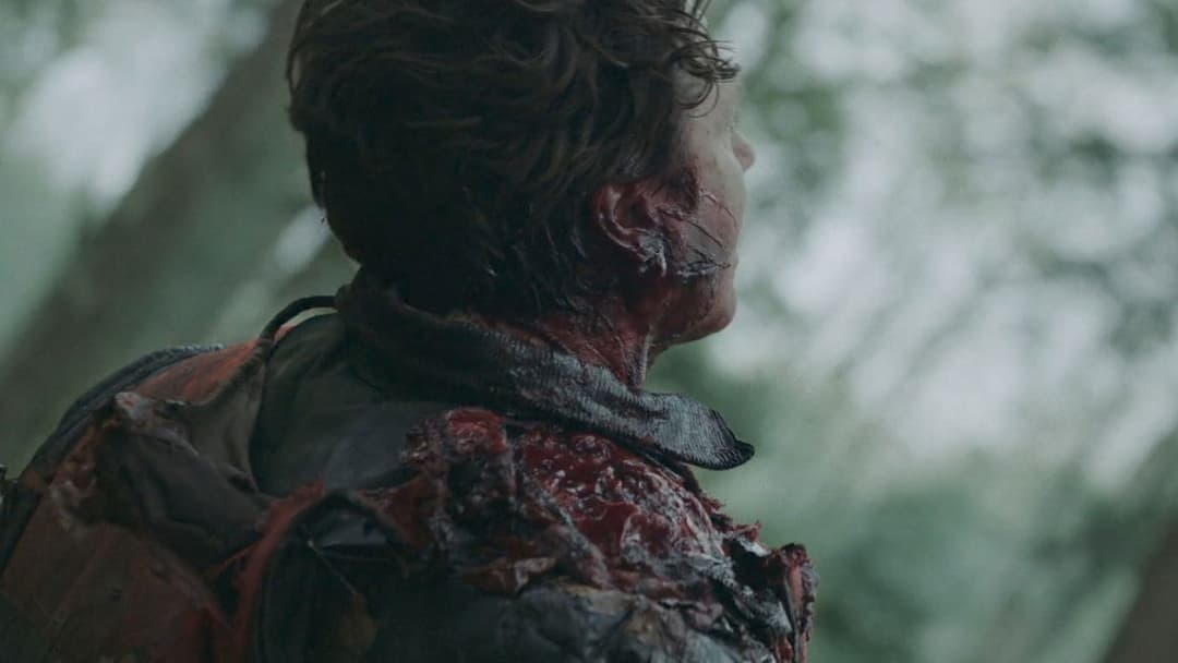 Out Come the Wolves backdrop 3