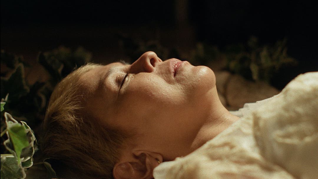 Примарне світло backdrop 8