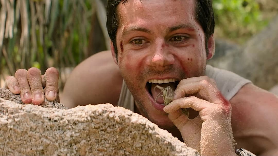 Send Help backdrop 19