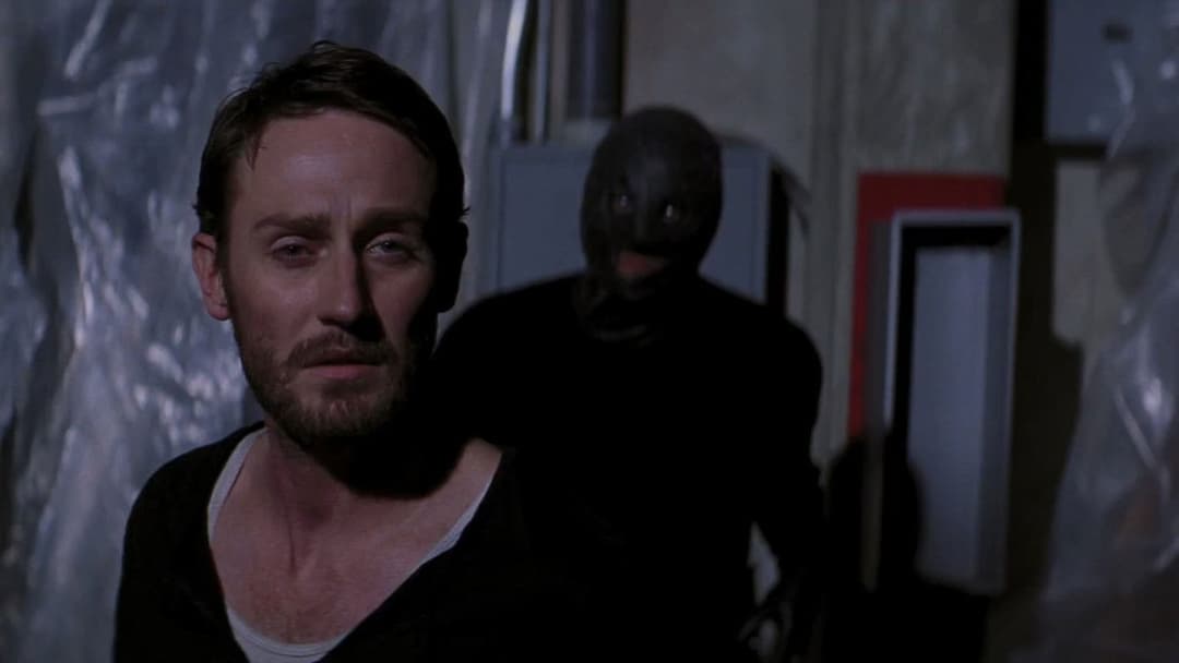 The Collection backdrop 6