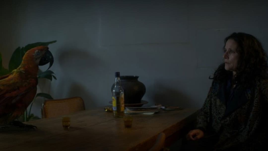 Тьюздей backdrop 9