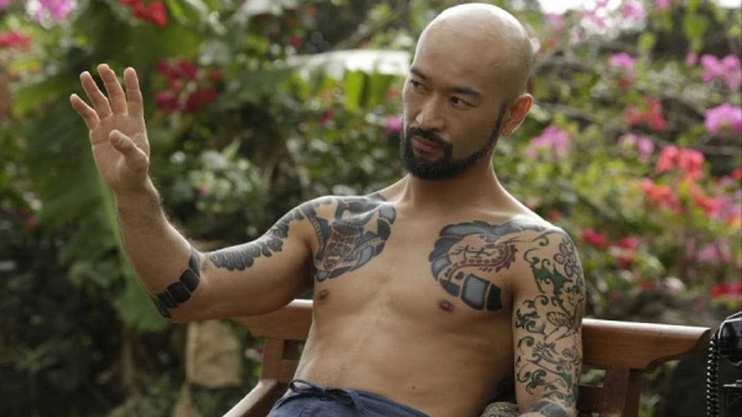 Сходження Сокола backdrop 10