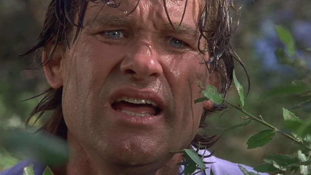 Breakdown backdrop 7