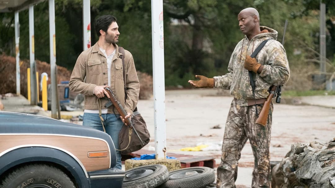 The Domestics backdrop 5