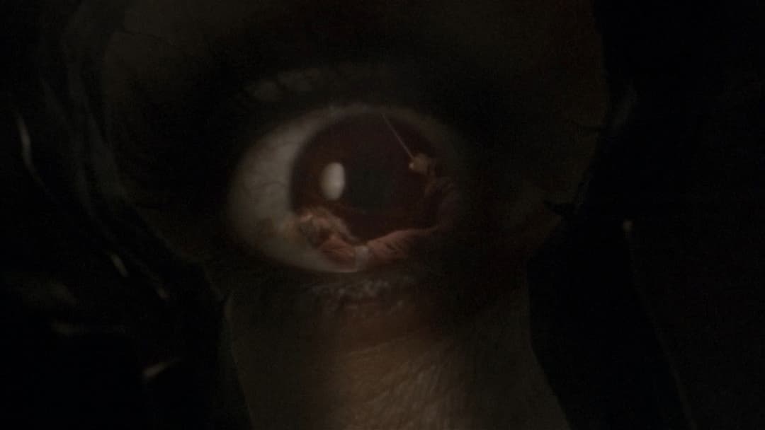 Поворот не туди backdrop 8