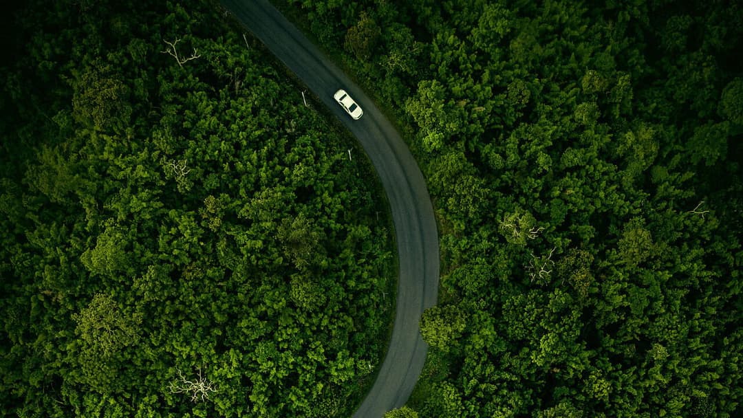 Сільська елегія backdrop 9