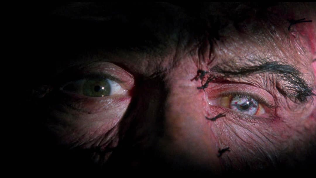 Mary Shelleys Frankenstein backdrop 6