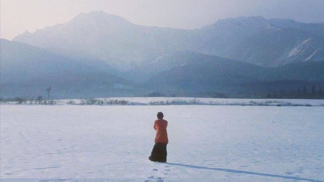 ラブレター backdrop 3