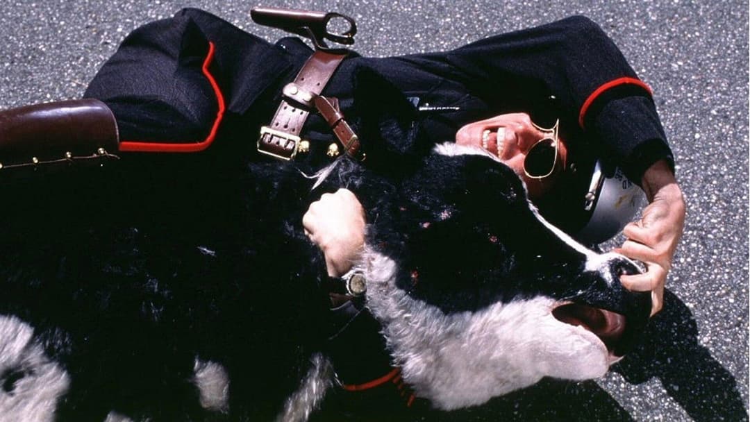 Ich, beide & sie backdrop 19