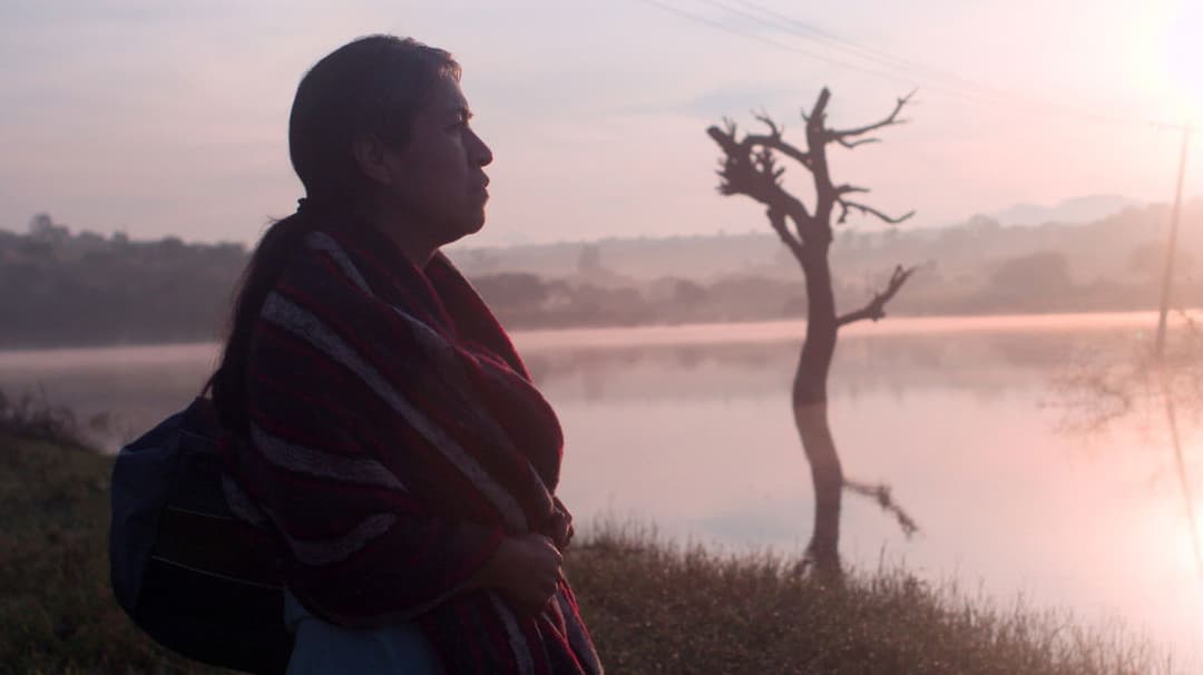 Was geschah mit Bus 670? backdrop 8