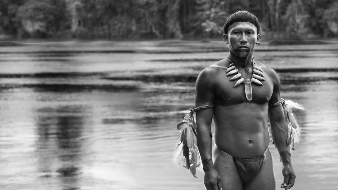 Embrace of the Serpent backdrop 3