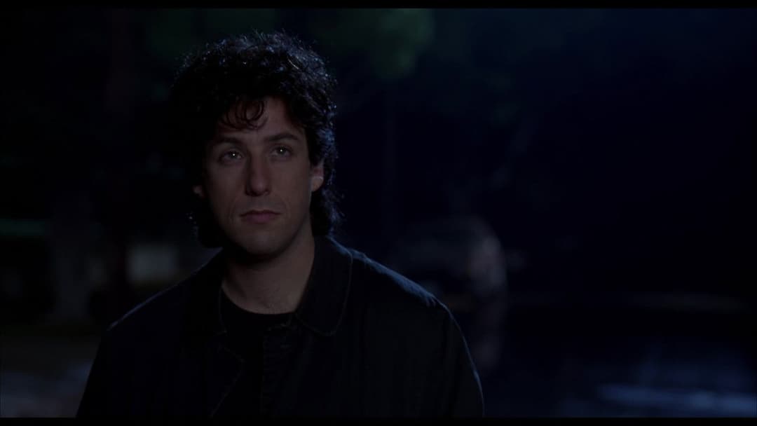 Співак на весіллі backdrop 12