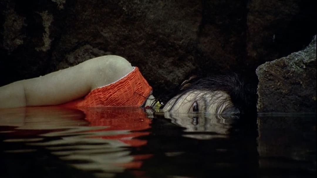 Sympathy for Mr. Vengeance backdrop 11