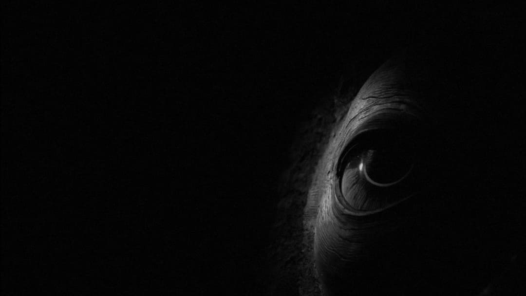 Die Werckmeisterschen Harmonien backdrop 10