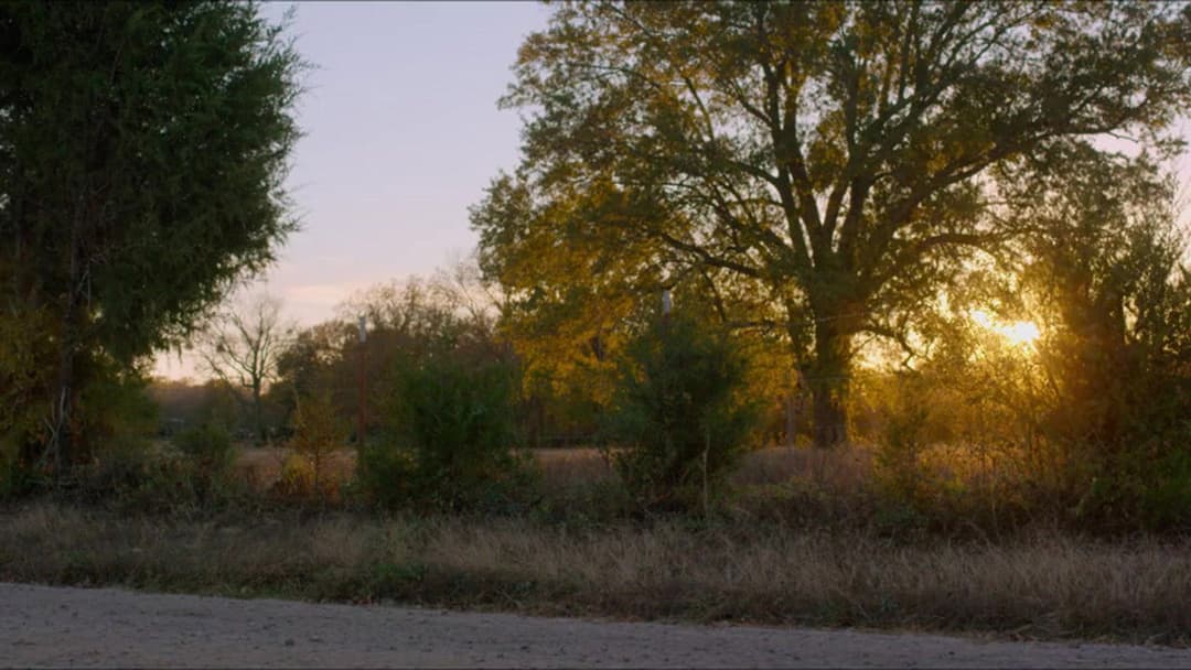 Бенджі backdrop 5