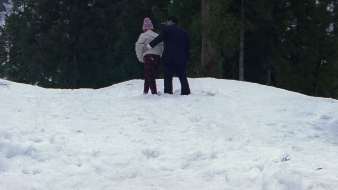 Hana-bi - Feuerblume backdrop 9