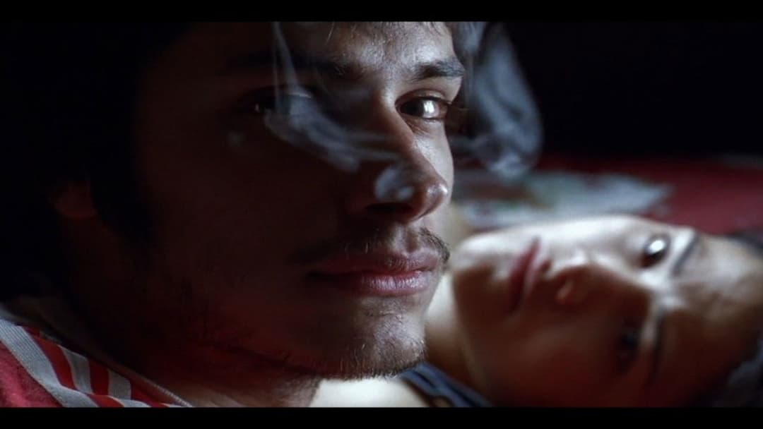 Amores perros backdrop 20