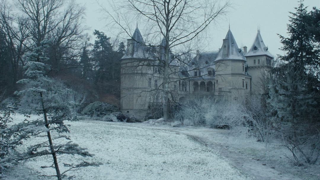 The Ugly Stepsister backdrop 18