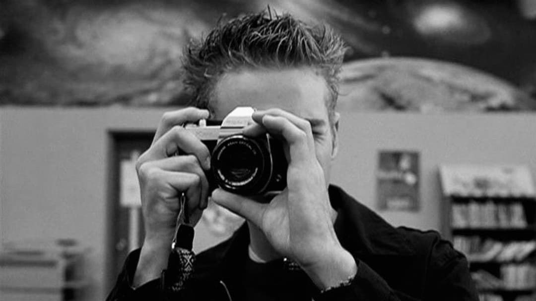 Elephant backdrop 15