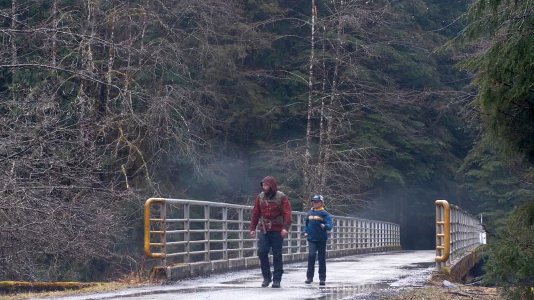 Світло мого життя backdrop 7