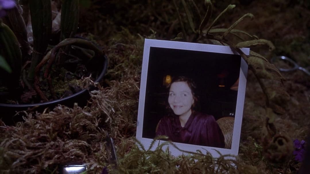 Секретарка backdrop 15