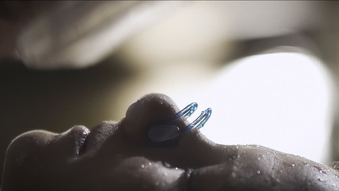 Upstream Color backdrop 2