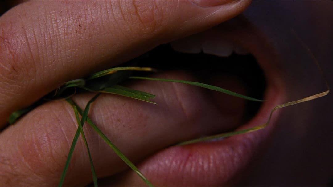 "Wuthering Heights" backdrop 14