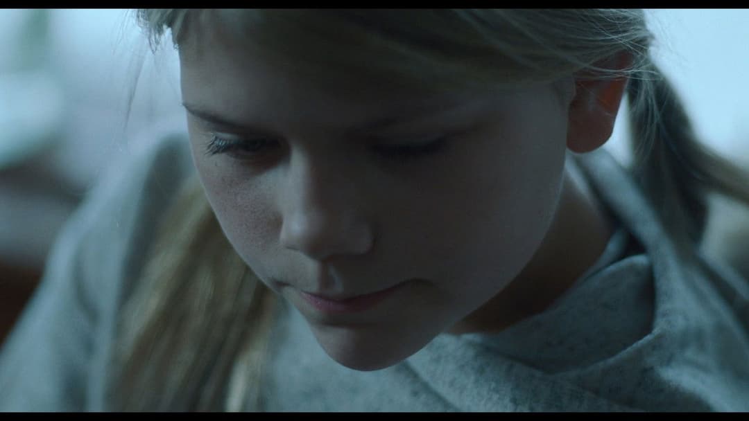 The Lodge backdrop 11