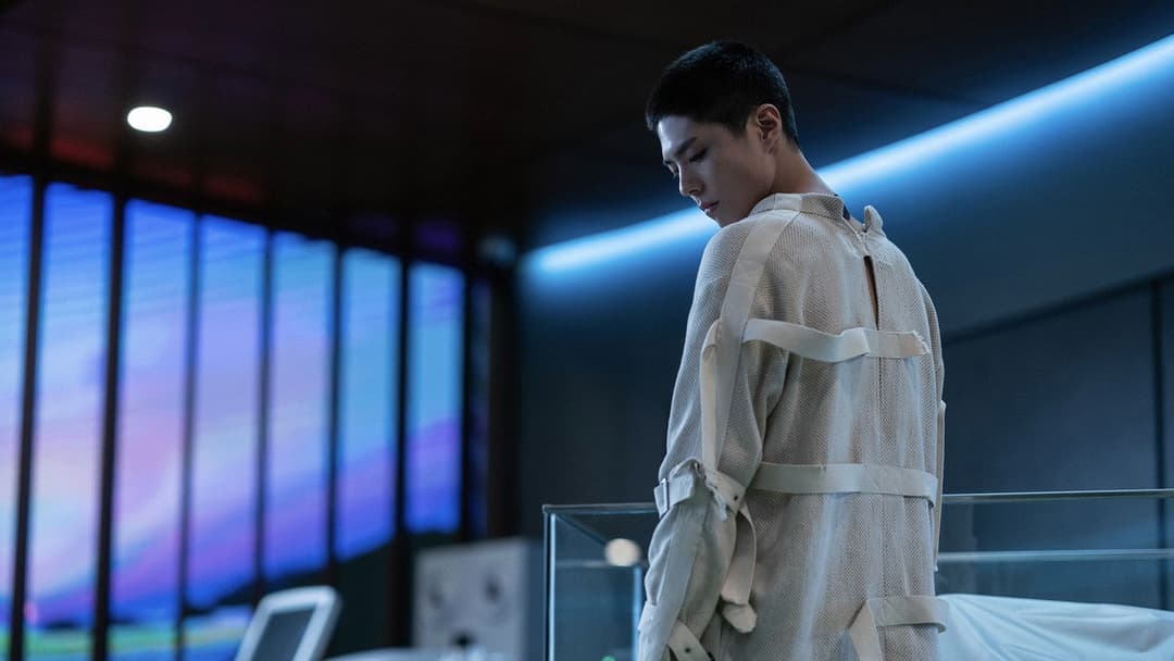 Собок backdrop 5