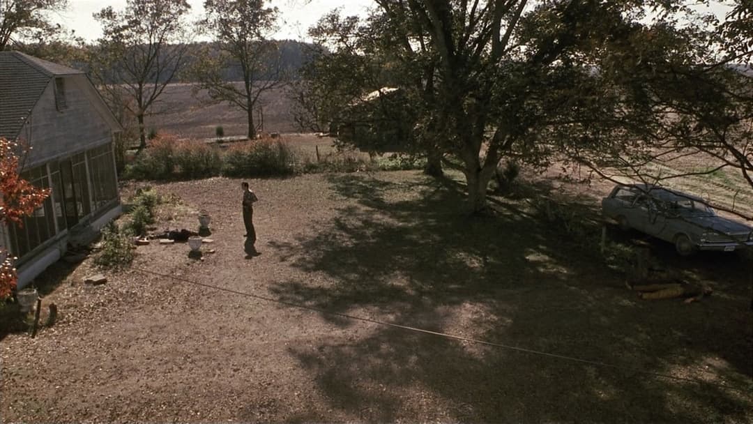 Один хибний хід backdrop 20