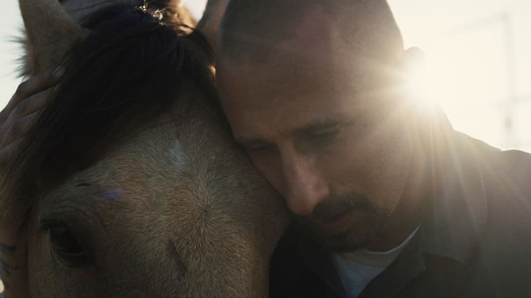 The Mustang backdrop 3