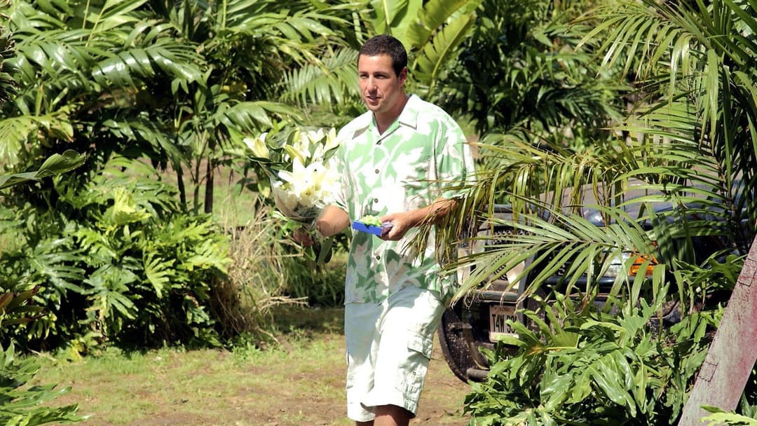 50 First Dates backdrop 8