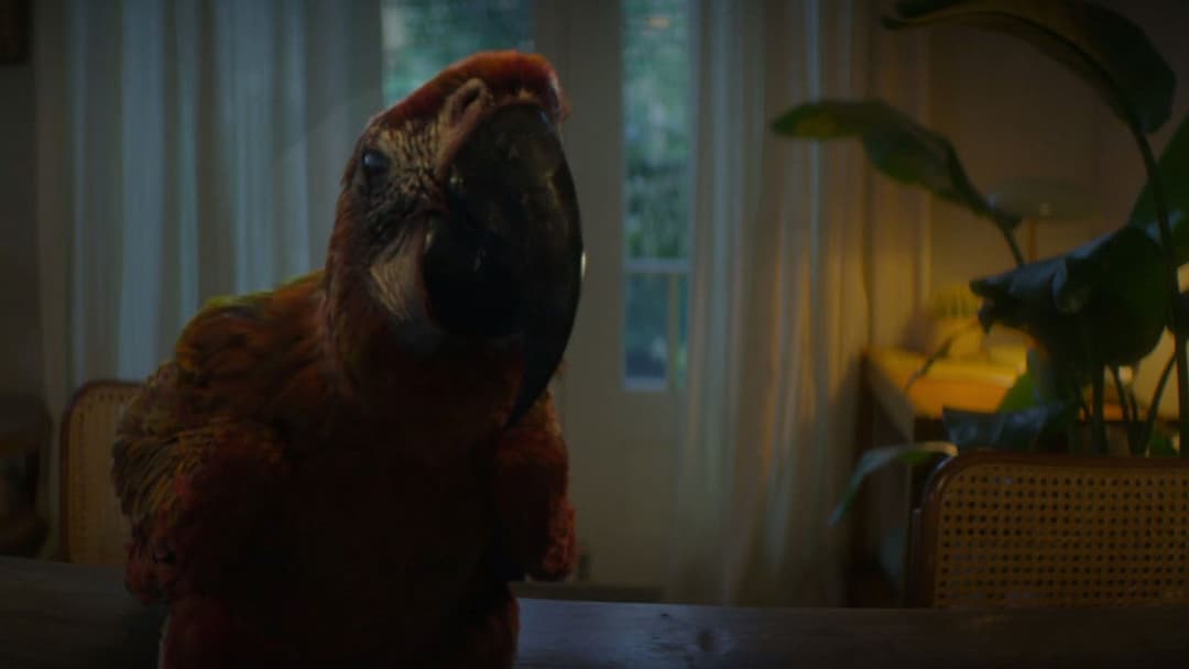 Тьюздей backdrop 15