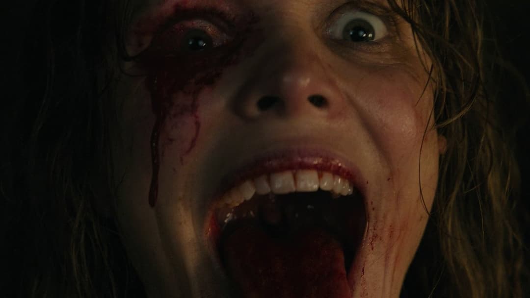 Send Help backdrop 15