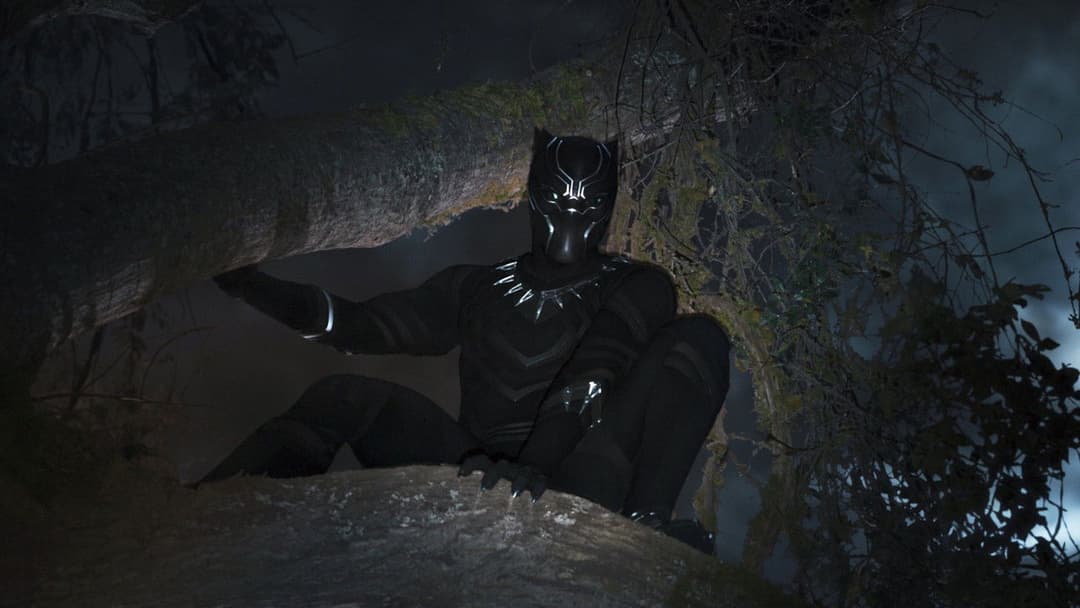 Black Panther backdrop 11