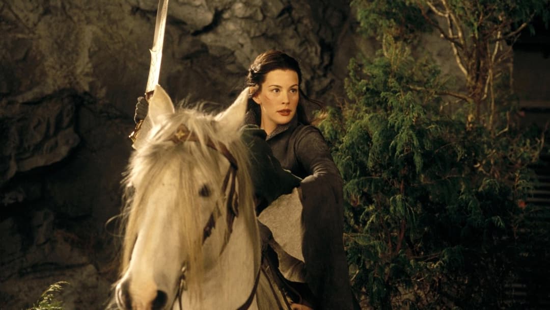 Володар перснів: Хранителі персня backdrop 8