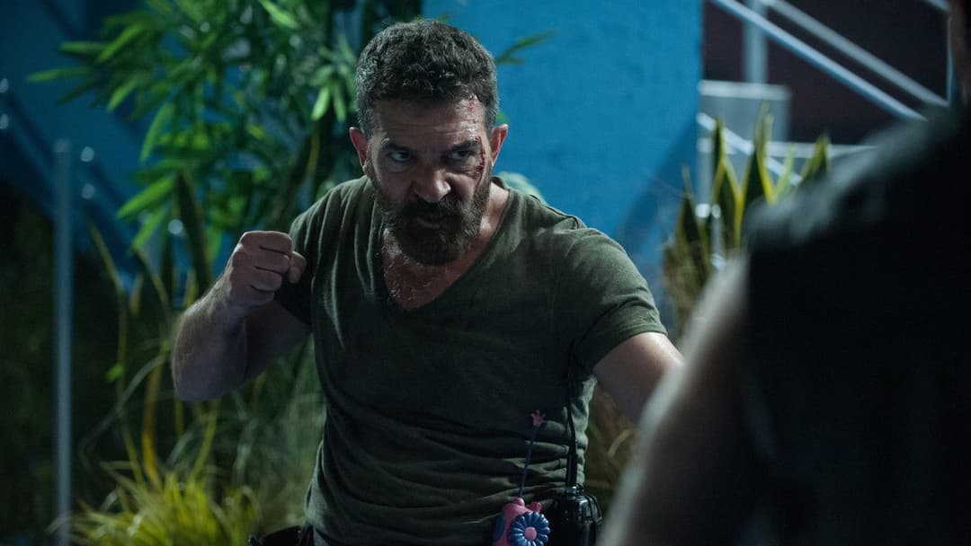 Security backdrop 12