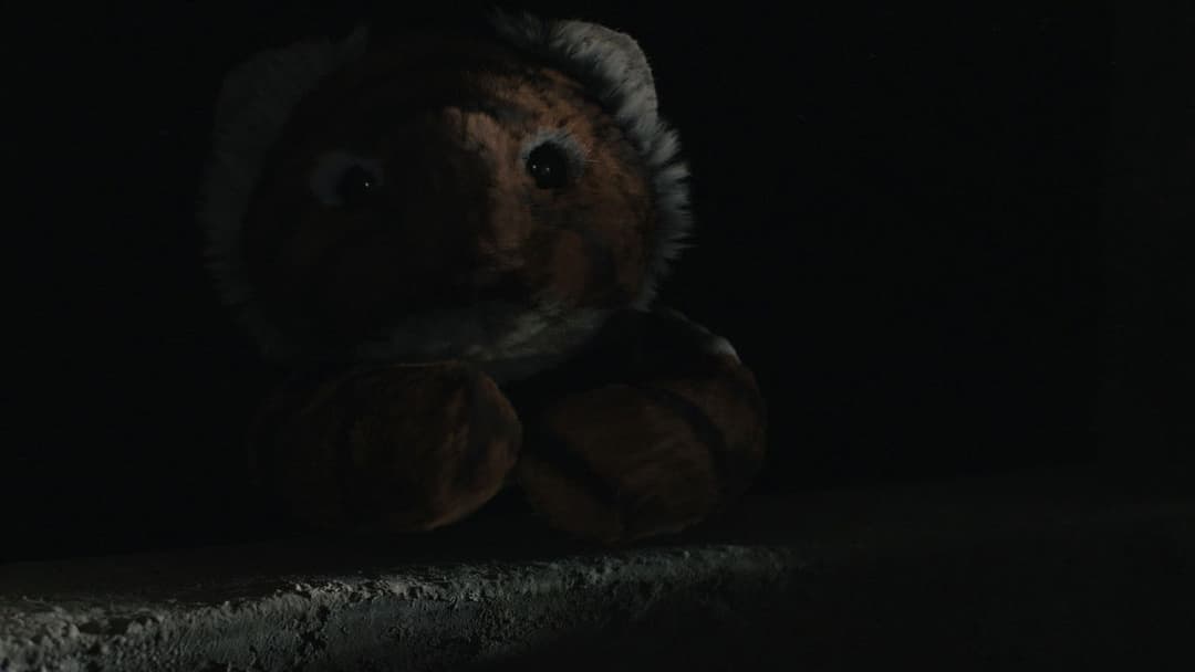 Tigers Are Not Afraid backdrop 5