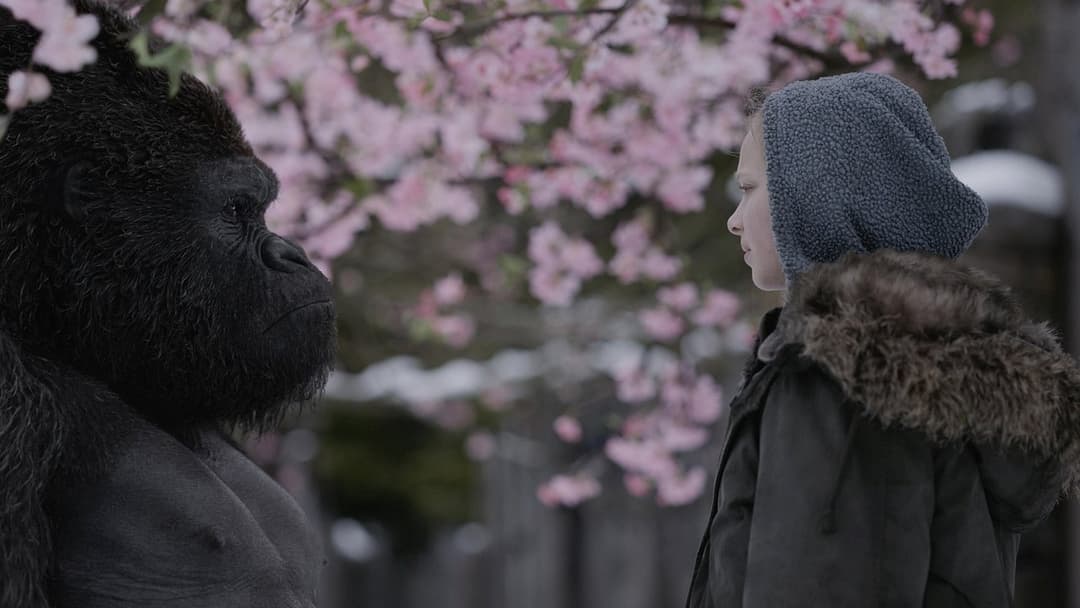 War for the Planet of the Apes backdrop 9