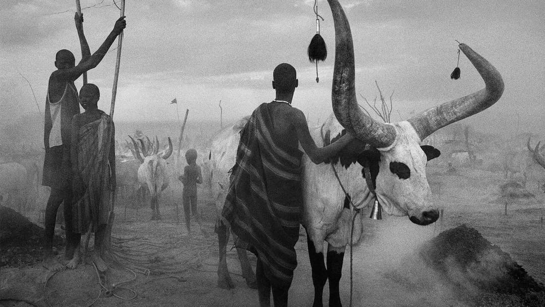 The Salt of the Earth backdrop 7