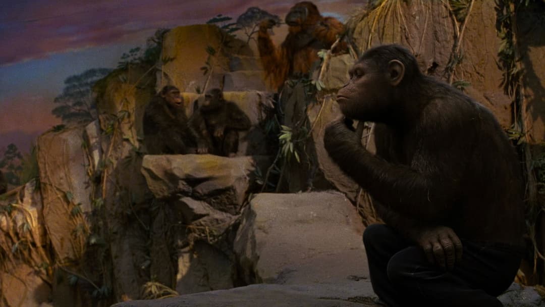 Rise of the Planet of the Apes backdrop 18